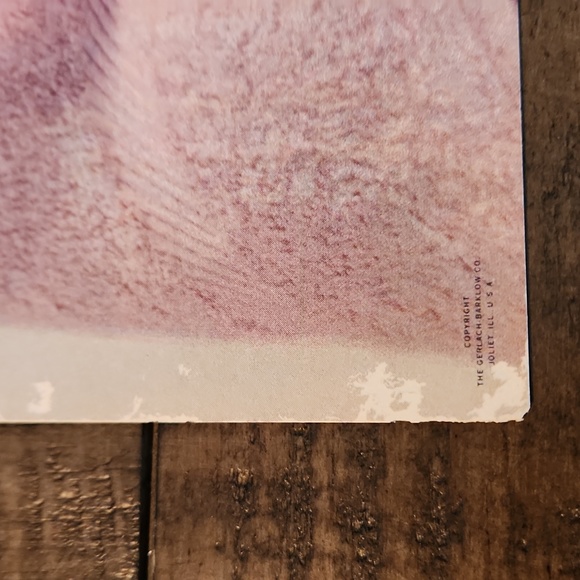 Charlotte Becker Vintage Beautiful Baby Prints 7x9 - Picture 8 of 10